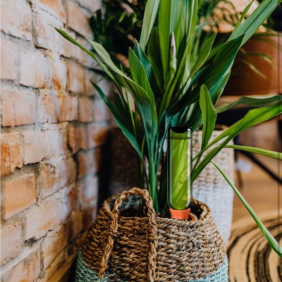 B SEPOR Ceramic Plant Waterer Set of 10 Pack Terracotta Self Watering Spikes-NEW - Picture 3 of 10